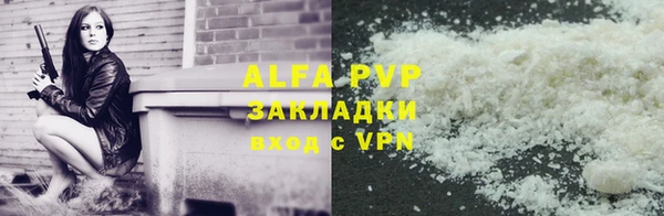 стафф Арсеньев