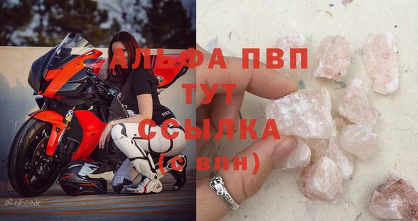 стафф Арсеньев