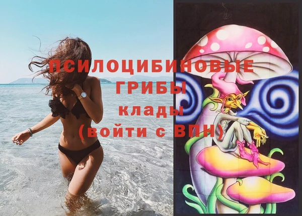 стафф Арсеньев